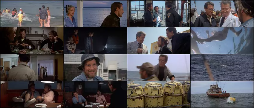 Download Jaws  | 1975 | Hindi-English | 480p 720p 1080p