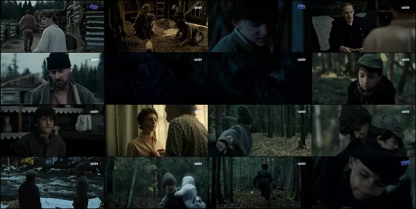 Download The Boy in the Woods | 2023 | Hindi | 1080p