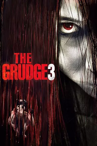 The Grudge 3 | 2009 | Hindi-English | 480p 720p 1080p