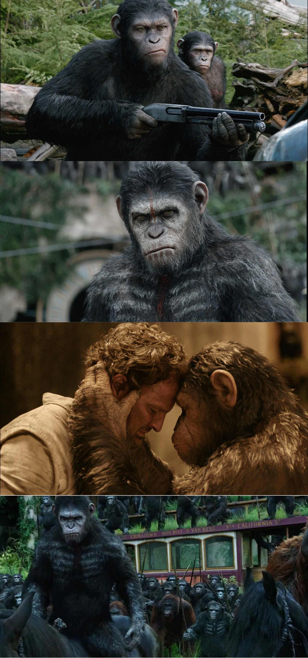 Download Dawn of the Planet of the Apes | 2014 | Hindi-English | 480p 720p 1080p