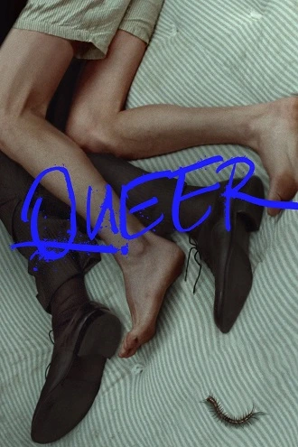 Download Queer | 2024 | English With Subtitles | 480p 720p 1080p